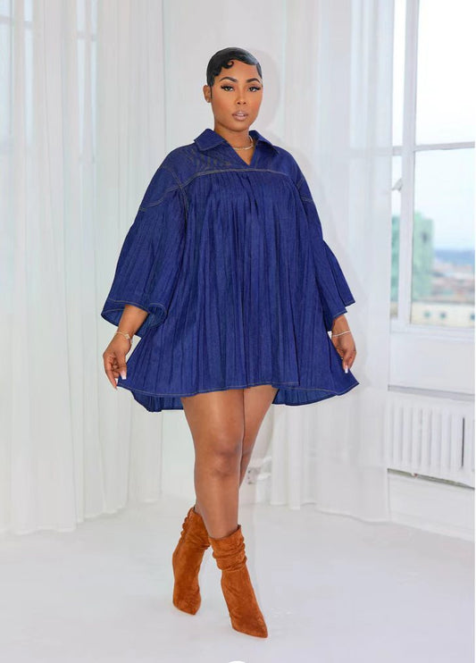 Women's Denim Pleated Panel Dress