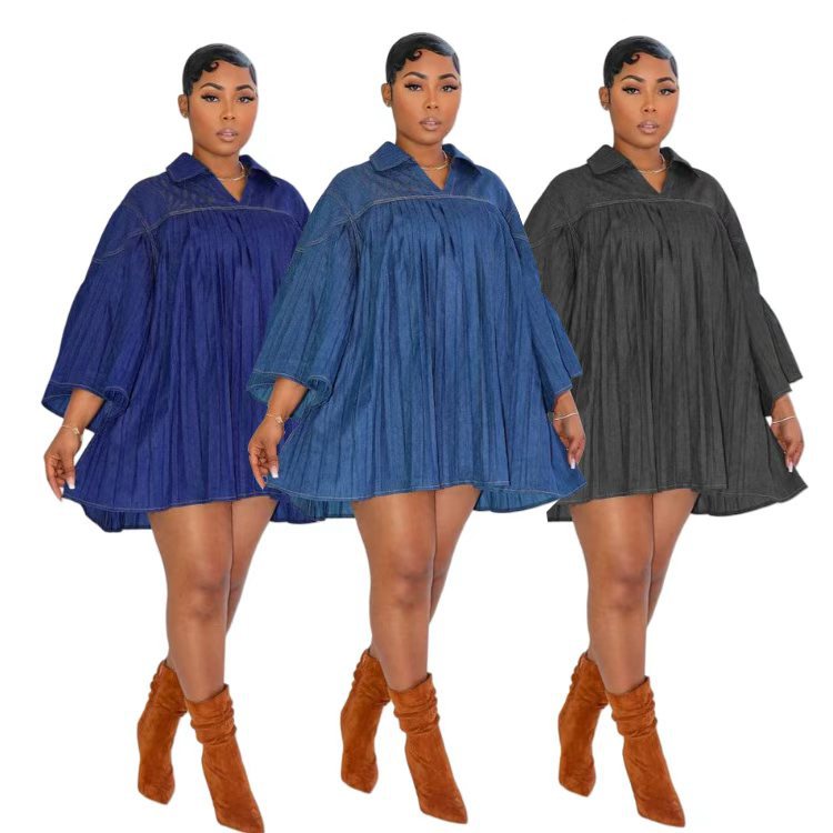 Women's Denim Pleated Panel Dress