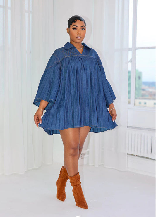 Women's Denim Pleated Panel Dress